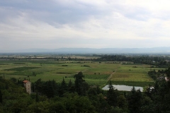 View from winery terrace
