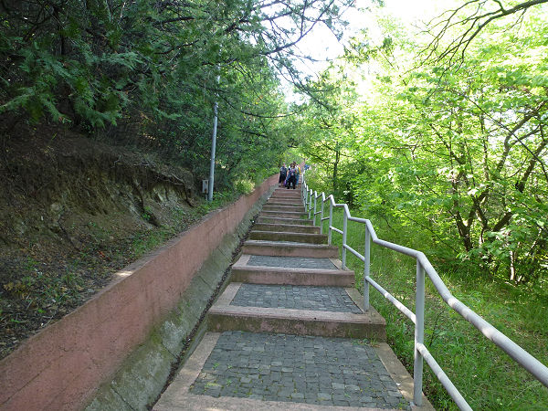 P1100985