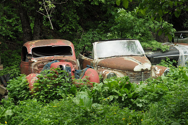 Vintage cars wait to be discovered