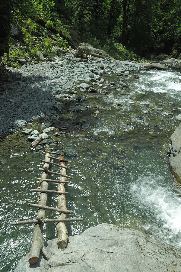 A clever ladder bridge to cross a pool of water