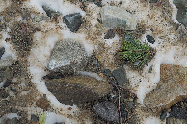 Glacier debris 