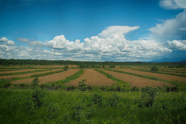 Georgian scenery - fallow ground