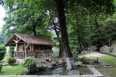 relaxing garden - winery